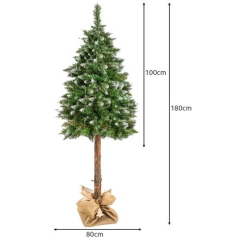 Choinka na pniu - sosna diamentowa 180cm Ruhhy