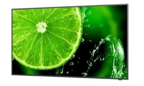 Monitor wielkoformatowy 55 cali MultiSync E558 UHD 350cd/m2 16/7 Monitor wielkoformatowy 55 cali MultiSync E558 UHD 350cd/m2 16/7