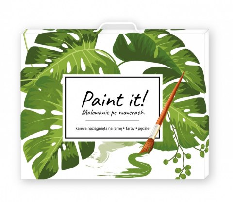 Obraz Paint it! Malowanie po numerach. Sowa Obraz Paint it! Malowanie po numerach. Sowa