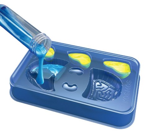 Zestaw naukowy Fun Scienc-Squishy Organs Zestaw naukowy Fun Scienc-Squishy Organs