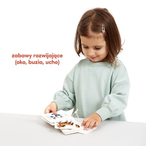 Karty obrazkowe na sznurku - Zwierzęta Karty obrazkowe na sznurku - Zwierzęta