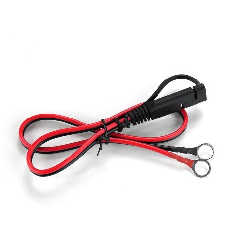 Prostownik samochodowy do akumulatora 12V/24V automatyczny CBC10