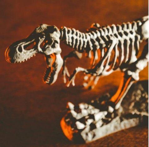 Zestaw naukowy Crazy science Smoki i dinozaury