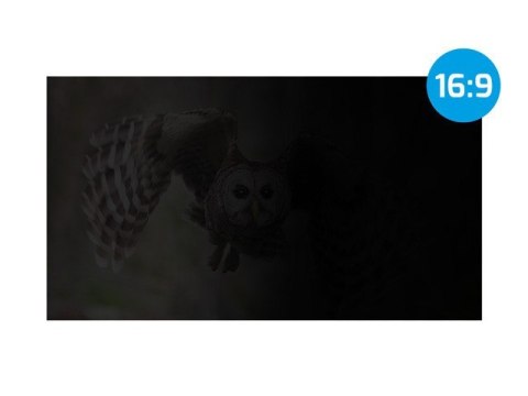 Filtr prywatyzujący RODO Owl 15.6 cala 16:9 Filtr prywatyzujący RODO Owl 15.6 cala 16:9