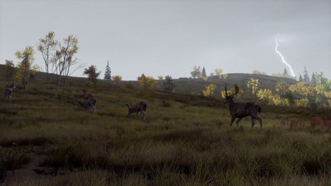 Gra PlayStation 5 Way of the Hunter Wild Expeditions