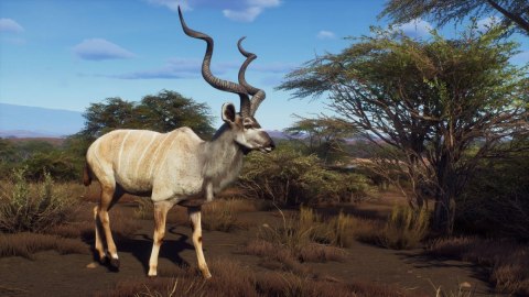 Gra PlayStation 5 Way of the Hunter Wild Expeditions