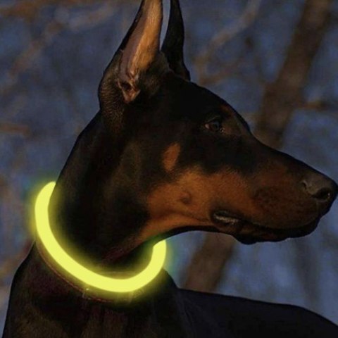 Obroża świecąca LED- regulowana Purlov 24200 Purlov Obroża świecąca LED- regulowana Purlov 24200 Purlov