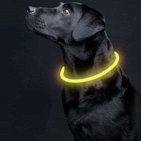 Obroża świecąca LED- regulowana Purlov 24200 Purlov Obroża świecąca LED- regulowana Purlov 24200 Purlov