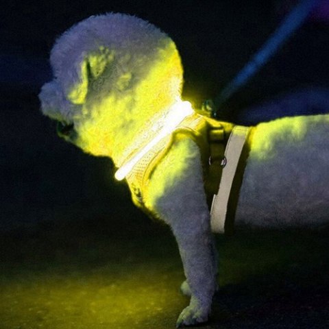 Obroża świecąca LED- regulowana Purlov 24200 Purlov Obroża świecąca LED- regulowana Purlov 24200 Purlov