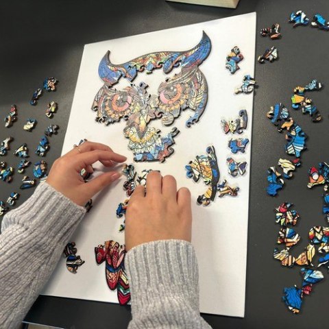 Układanka drewniana- puzzle Kruzzel 24551 Kruzzel