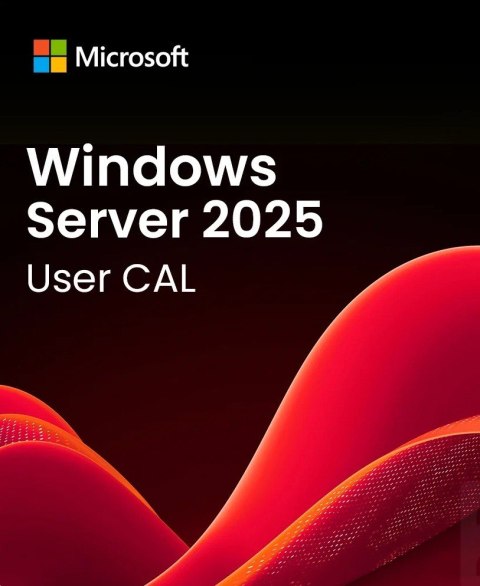 ROK Win Svr CAL 2025 5Clt User 634-CVFH ROK Win Svr CAL 2025 5Clt User 634-CVFH