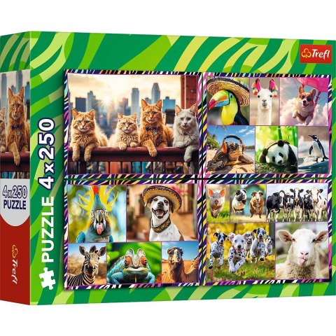 Puzzle 4x250 elementów Zabawne zwierzaki Puzzle 4x250 elementów Zabawne zwierzaki