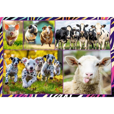 Puzzle 4x250 elementów Zabawne zwierzaki Puzzle 4x250 elementów Zabawne zwierzaki