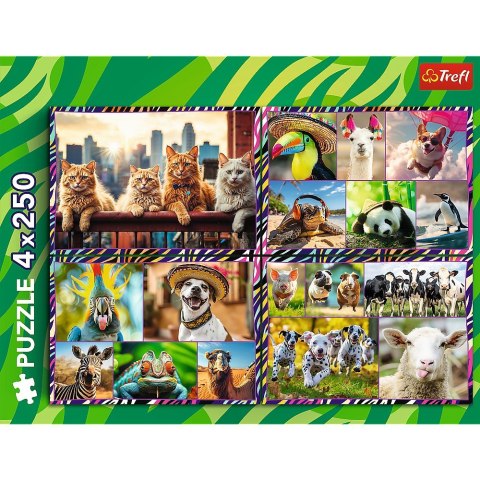 Puzzle 4x250 elementów Zabawne zwierzaki Puzzle 4x250 elementów Zabawne zwierzaki