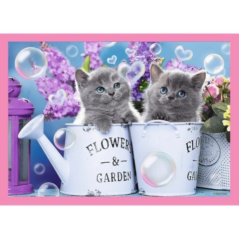 Puzzle 4w1 Zabawne kotki Puzzle 4w1 Zabawne kotki