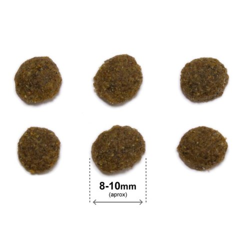 ARQUIVET CAT Original dla kotów sterylizowanych kurczak z ryżem 1,5 kg Arquivet ARQUIVET CAT Original dla kotów sterylizowanych kurczak z ryżem 1,5 kg Arquivet