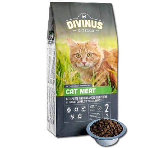 PRÓBKA Divinus Cat Meat 100g Divinus PRÓBKA Divinus Cat Meat 100g Divinus