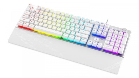 Klawiatura Frost RGB srebrno-biała Klawiatura Frost RGB srebrno-biała