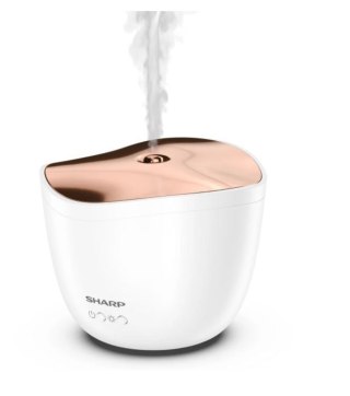 Aromatyzer powietrza DF-A1E-W