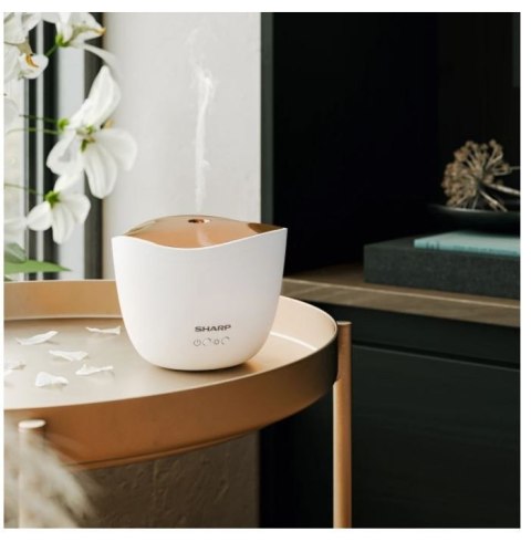 Aromatyzer powietrza DF-A1E-W Aromatyzer powietrza DF-A1E-W
