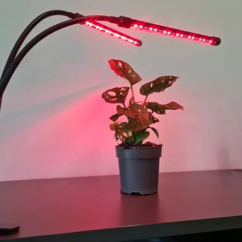 Lampa 20 LED 2szt. do wzrostu roślin Gardlov 19241 Gardlov