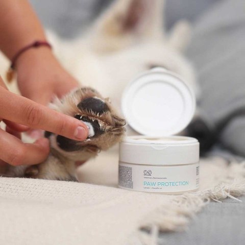 PAW PROTECTION 75 ML Maść ochronna do łap POJEMNIK Medivet PAW PROTECTION 75 ML Maść ochronna do łap POJEMNIK Medivet