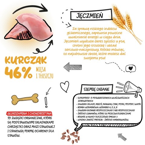 PRÓBKA Barkitos kurczak z ryżem 100 g Barkitos PRÓBKA Barkitos kurczak z ryżem 100 g Barkitos