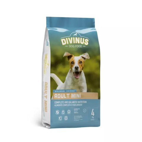 PRÓBKA Divinus Adult Mini 100g Divinus PRÓBKA Divinus Adult Mini 100g Divinus
