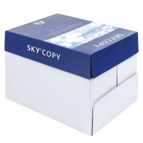 Papier ksero A4 80g karton- 5 ryz Iso Trade