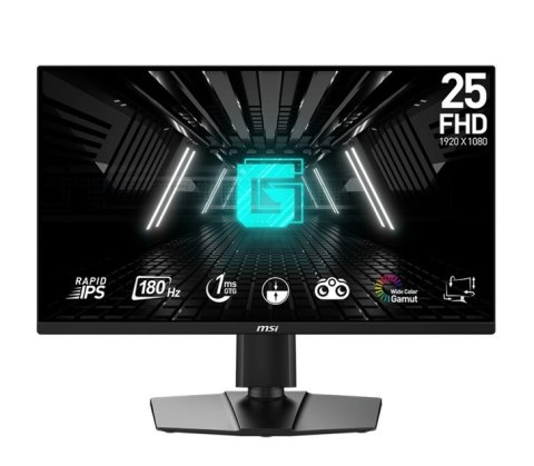 Monitor G255PF E2 24,5 cala LED/FHD/Flat/180Hz/Black Monitor G255PF E2 24,5 cala LED/FHD/Flat/180Hz/Black