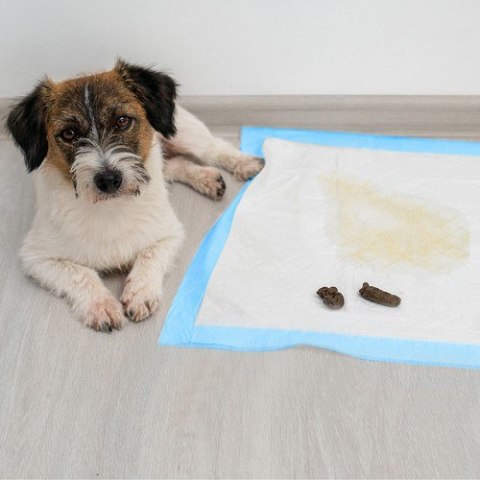 Podkład higieniczny 60x60cm 100szt. Purlov 21601 Purlov Podkład higieniczny 60x60cm 100szt. Purlov 21601 Purlov