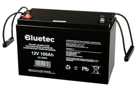 Akumulator żelowy 12V/100Ah BLUETEC Akumulator żelowy 12V/100Ah BLUETEC