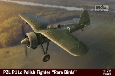 Model plastikowy PZL P.11c Polish Fighter in Rare Birds 1/72 Model plastikowy PZL P.11c Polish Fighter in Rare Birds 1/72