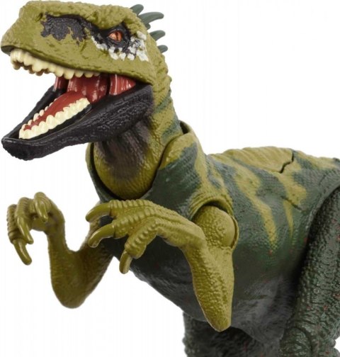 Figurka Jurassic World Dinozaur Atrociraptor Figurka Jurassic World Dinozaur Atrociraptor