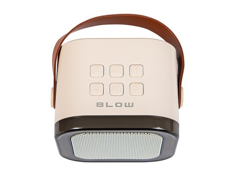 Głośnik Bluetooth Karaoke RGB Głośnik Bluetooth Karaoke RGB