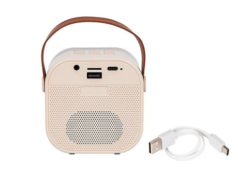 Głośnik Bluetooth Karaoke RGB Głośnik Bluetooth Karaoke RGB