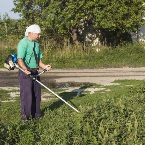 Żyłka z drutem zbrojona- 100m Bigstren 21025 Bigstren Żyłka z drutem zbrojona- 100m Bigstren 21025 Bigstren