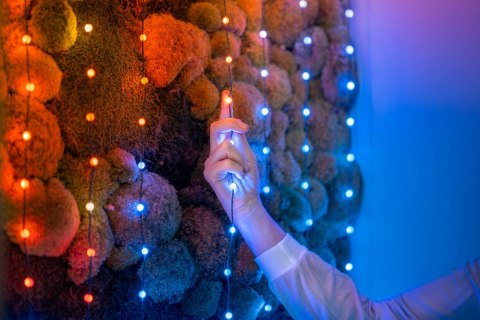 Inteligentne lampki dekoracyjne Strings USB-C (Candies) 100 LED RGB, perły, przezroczysty przewód, 6 m Inteligentne lampki dekoracyjne Strings USB-C (Candies) 100 LED RGB, perły, przezroczysty przewód, 6 m
