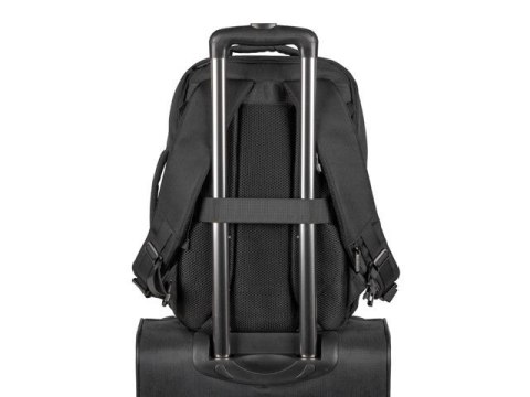 Plecak do laptopa Camel Lite 15.6 cala 19L Plecak do laptopa Camel Lite 15.6 cala 19L