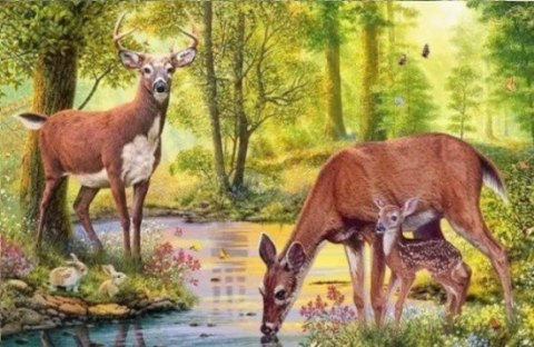 Diamentowa mozaika - Jelenie nad strumieniem Diamentowa mozaika - Jelenie nad strumieniem