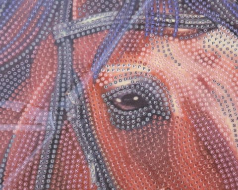 Plakat Crystal Art Konie Plakat Crystal Art Konie