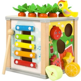 Kostka edukacyjna drewniana- sorter Kruzzel 22566 Kruzzel