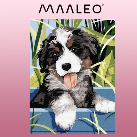 Malowanie po numerach 40x30cm- pies Maaleo 22780 Maaleo Malowanie po numerach 40x30cm- pies Maaleo 22780 Maaleo