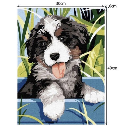 Malowanie po numerach 40x30cm- pies Maaleo 22780 Maaleo Malowanie po numerach 40x30cm- pies Maaleo 22780 Maaleo