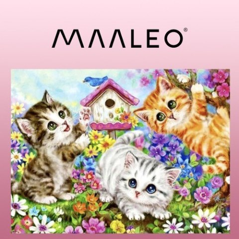 Malowanie po numerach 40x50cm- kotki Maaleo 22781 Maaleo