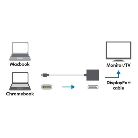 Adapter USB-C 3.1 do Display Port Adapter USB-C 3.1 do Display Port